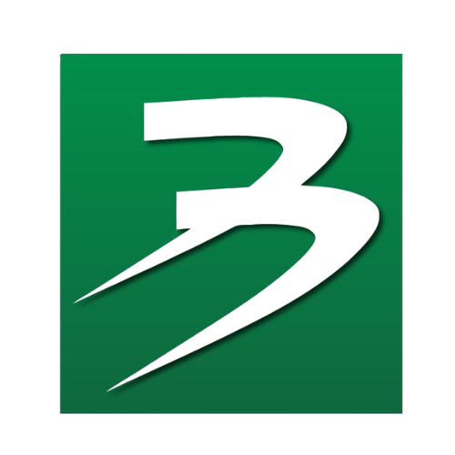 Bingo logo